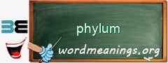 WordMeaning blackboard for phylum